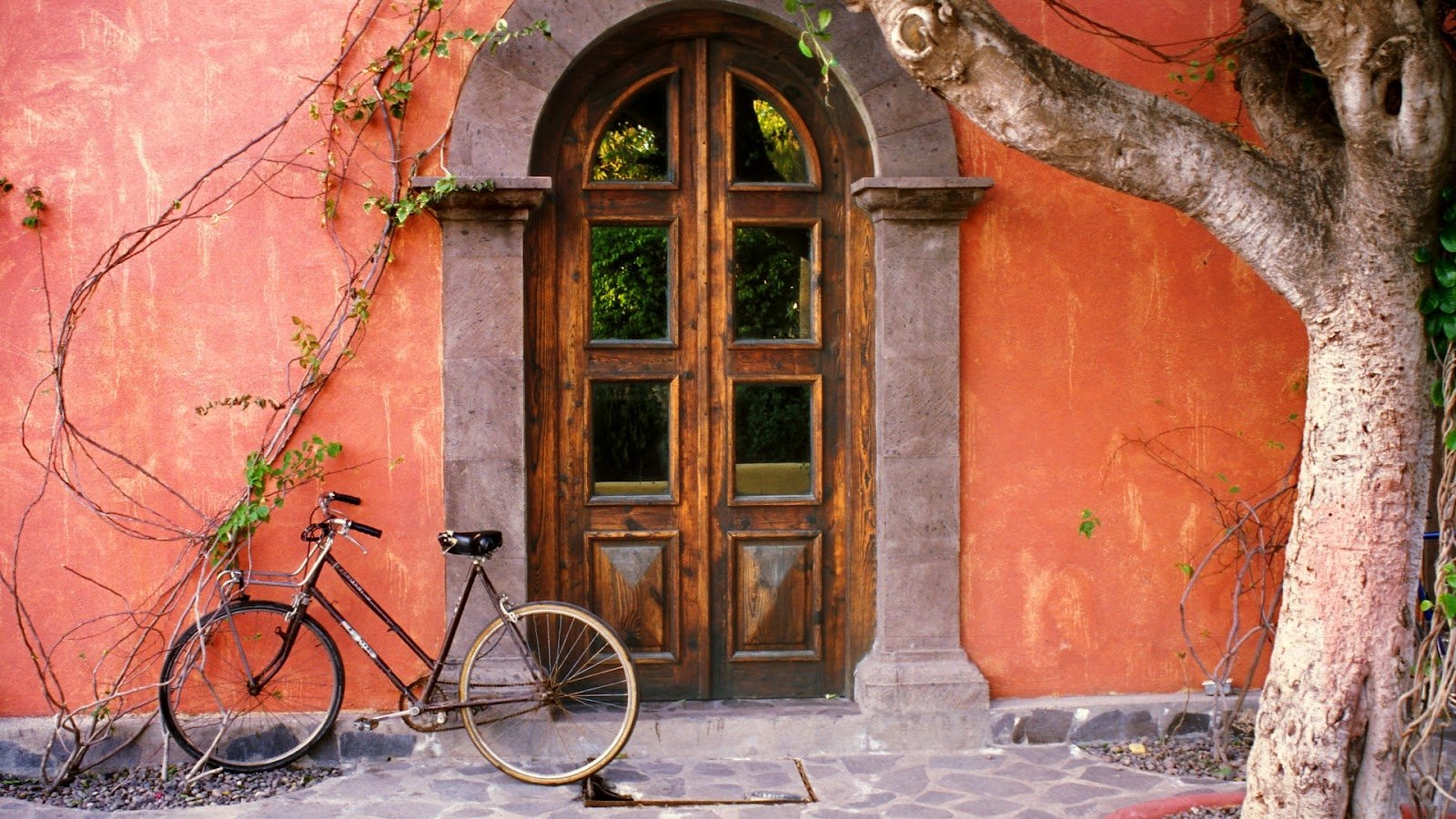 A bicycle leans against a vibrant orange wall next to an arched wooden door framed by stone, with a tree on the right side.