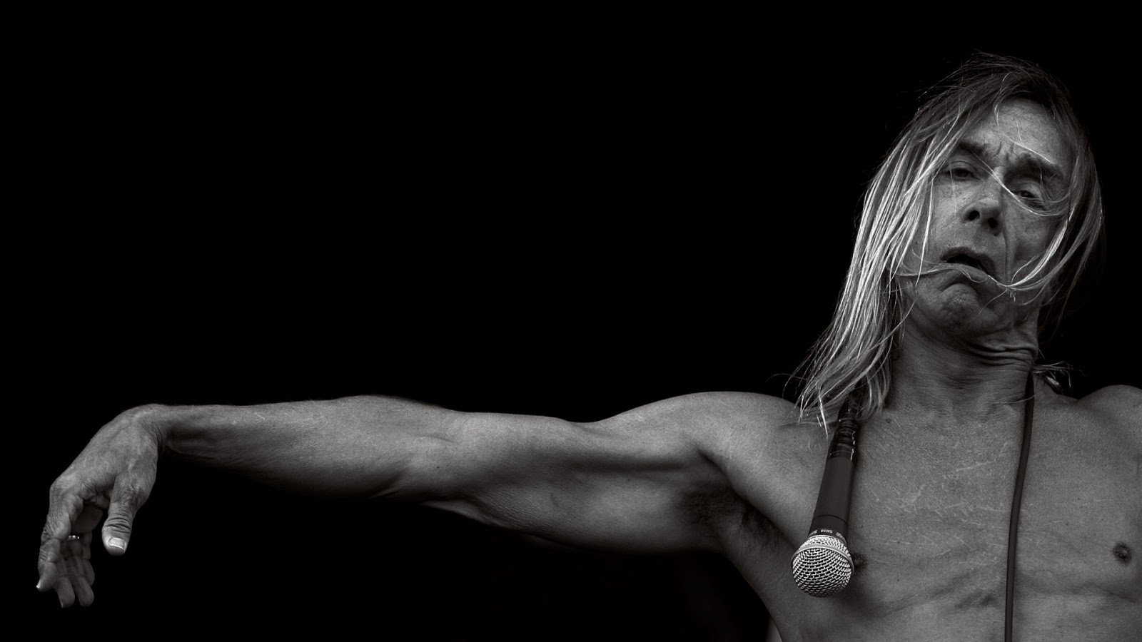 music Iggy Pop Image