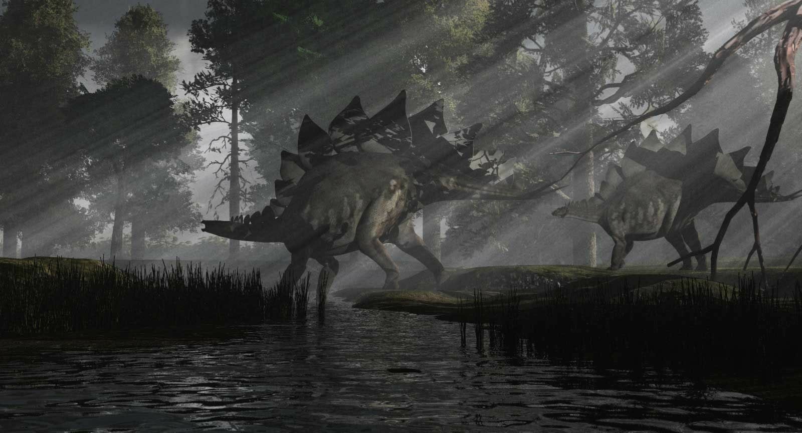 Two stegosaurus animals wade along a misty forest pond as shafts of sunlight cut through tall trees.