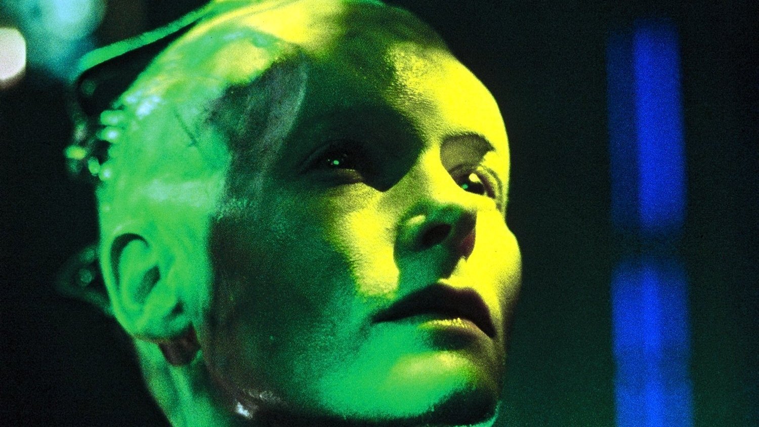 TV Show Star Trek: Voyager Image
