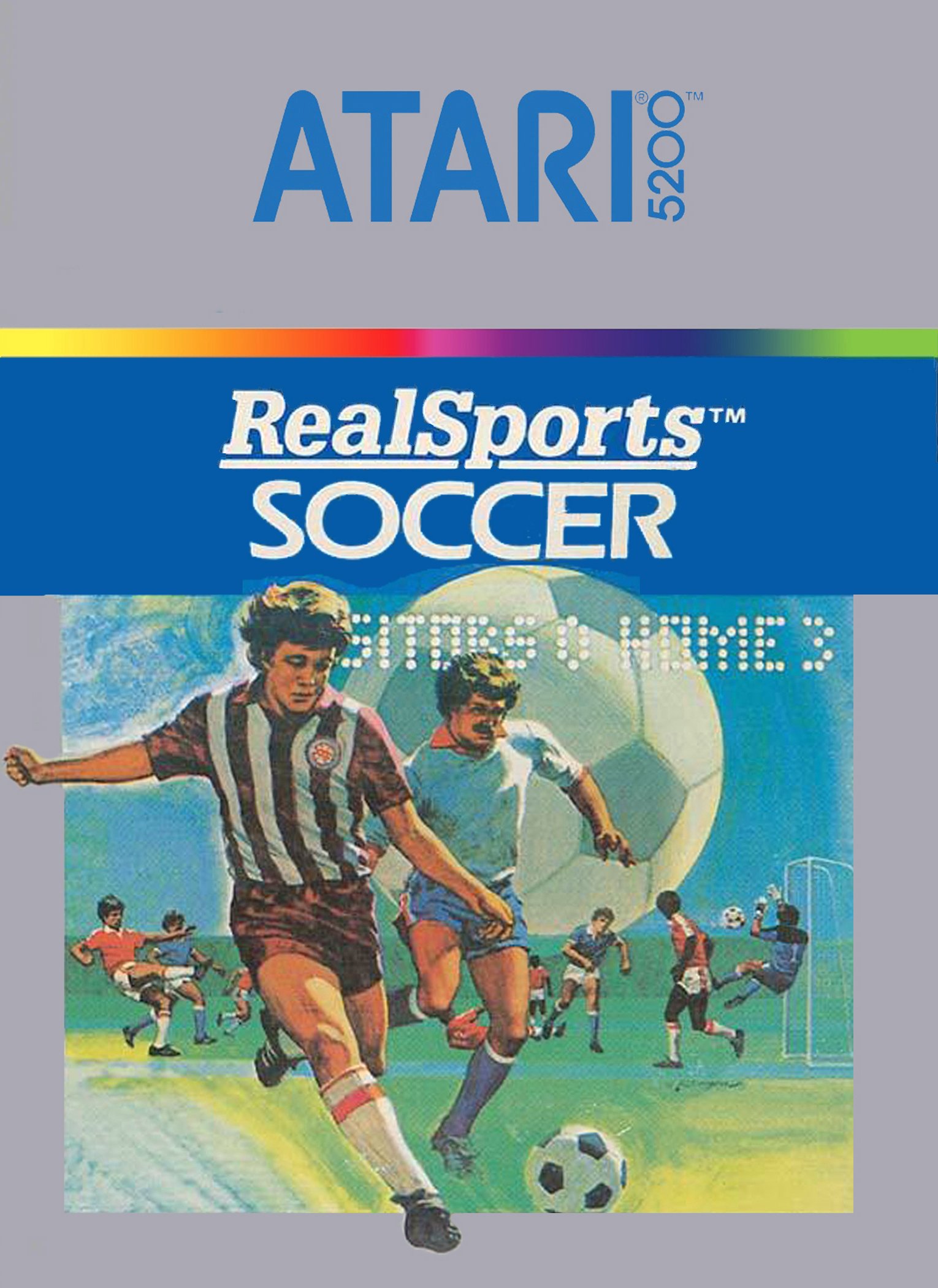 video game RealSports Soccer Image