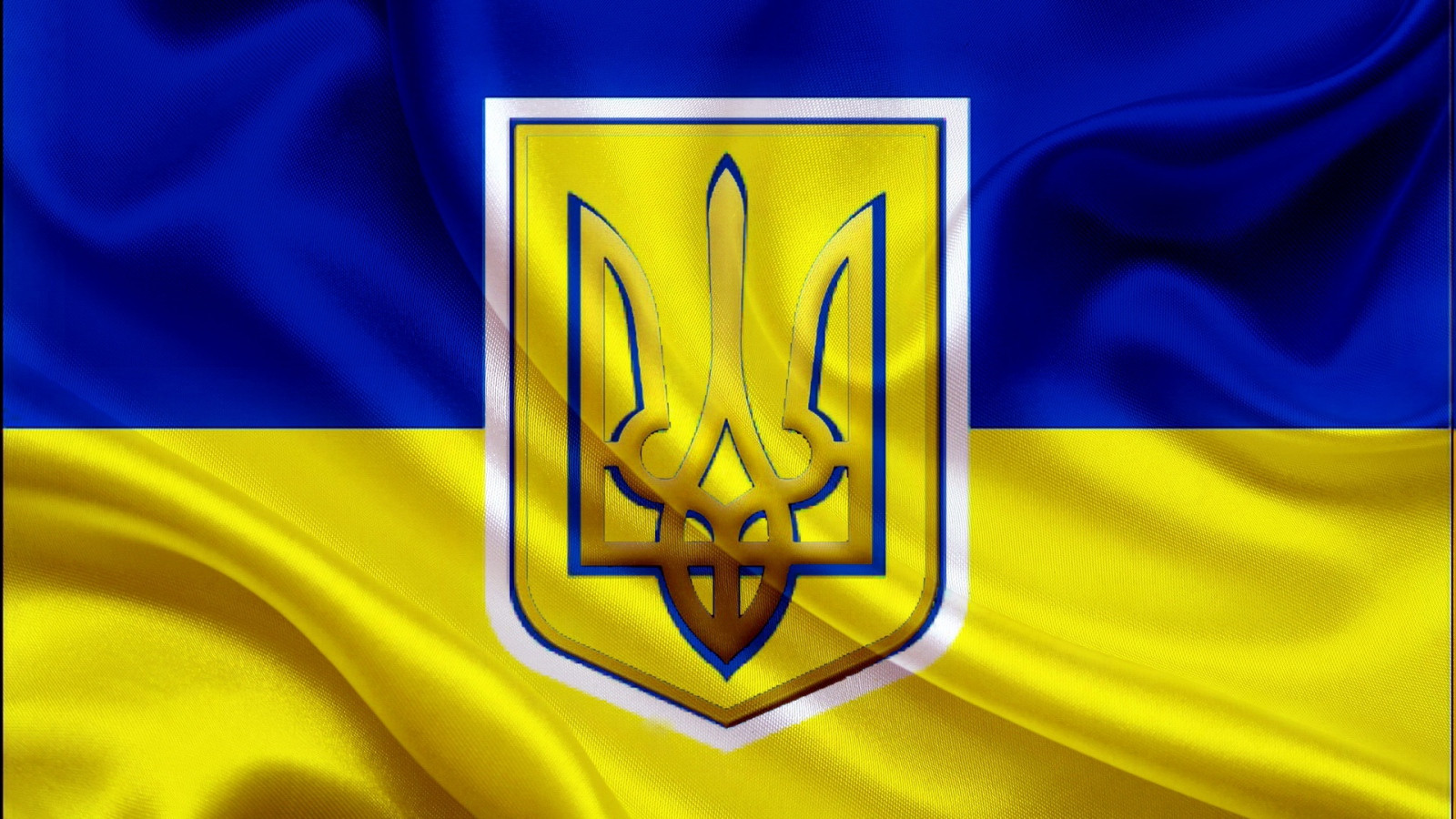 flag of ukraine Picture