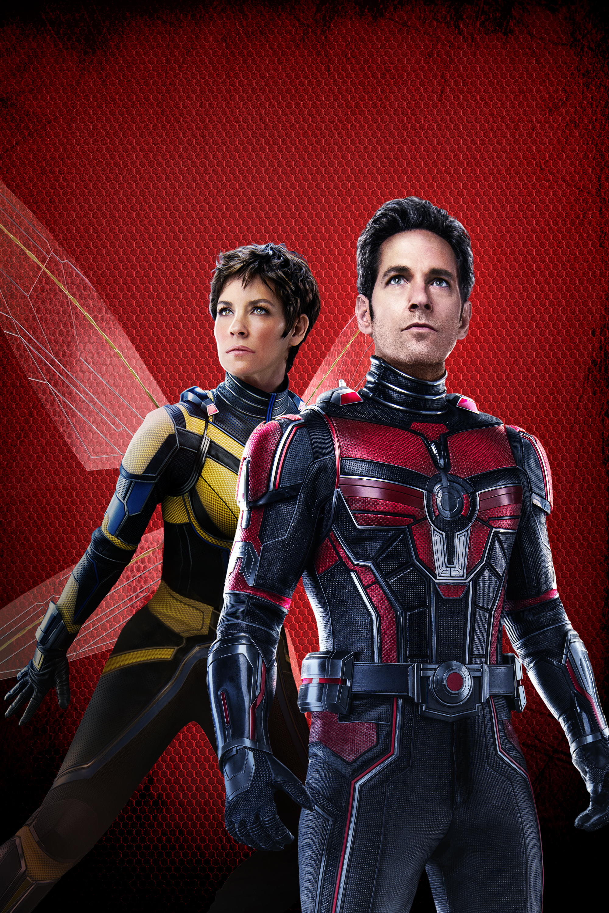 Ant-Man and Wasp 2018 желание