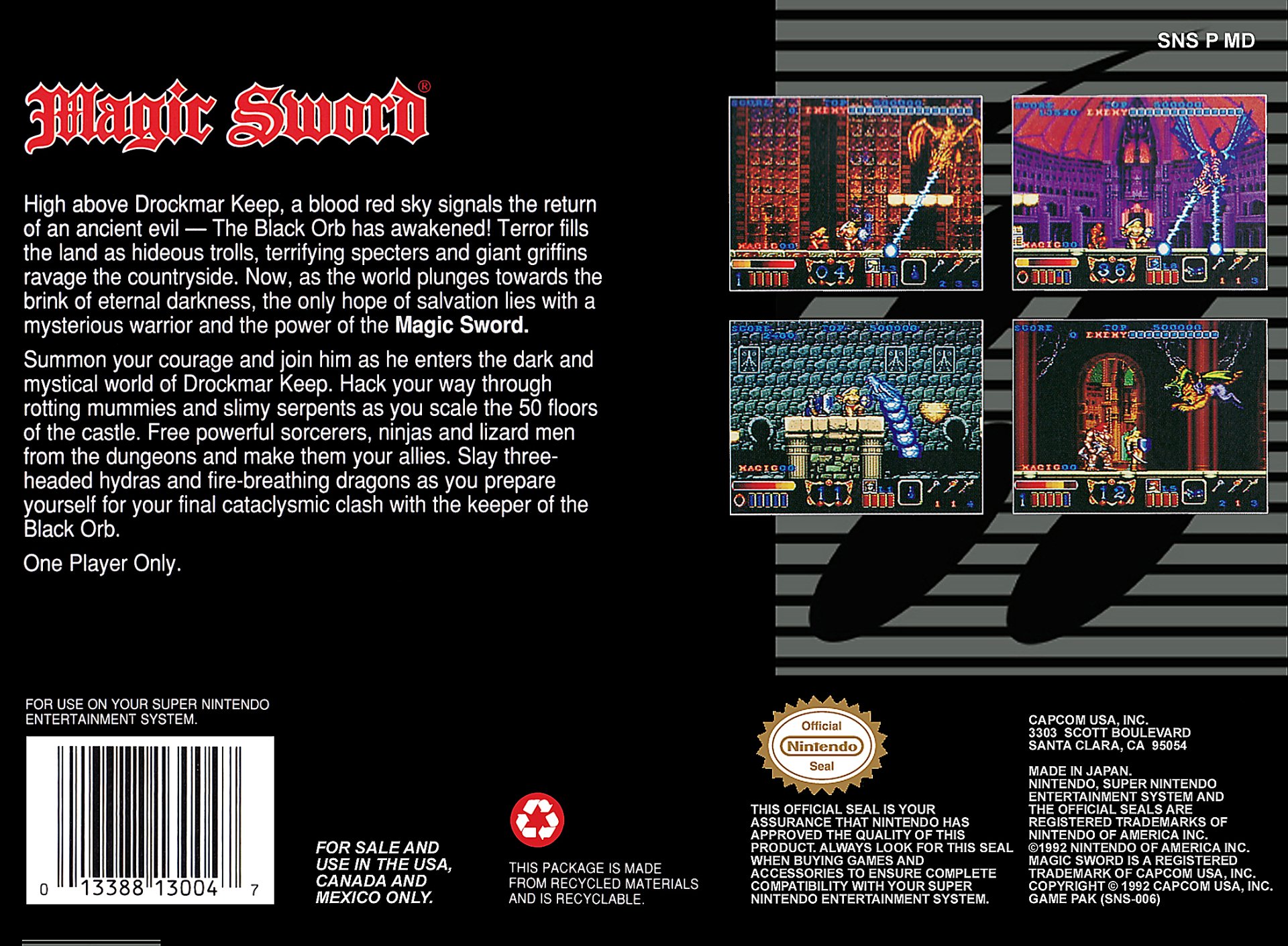 video game Magic Sword Image
