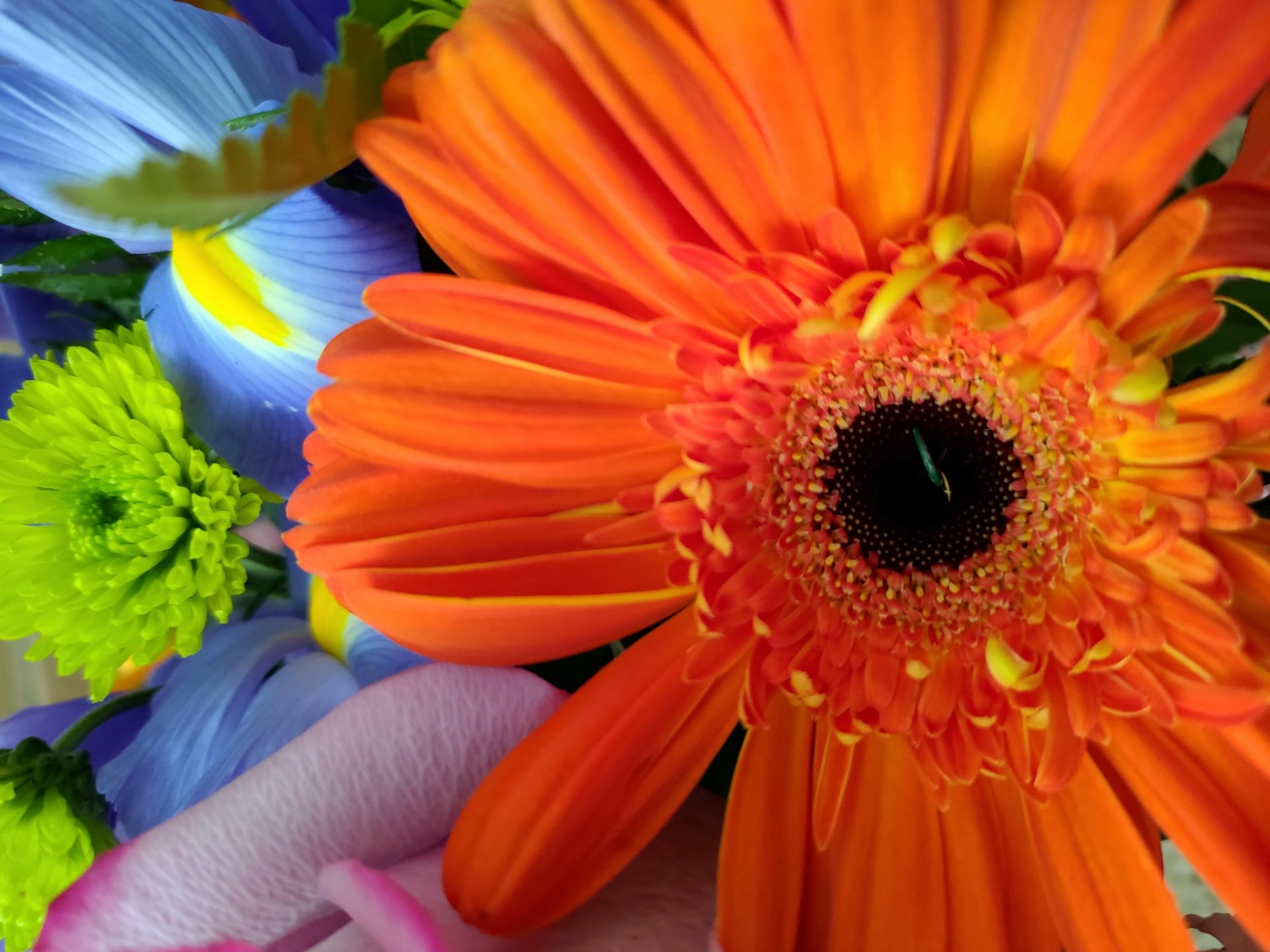 Flower Bouquet by minibuttercup