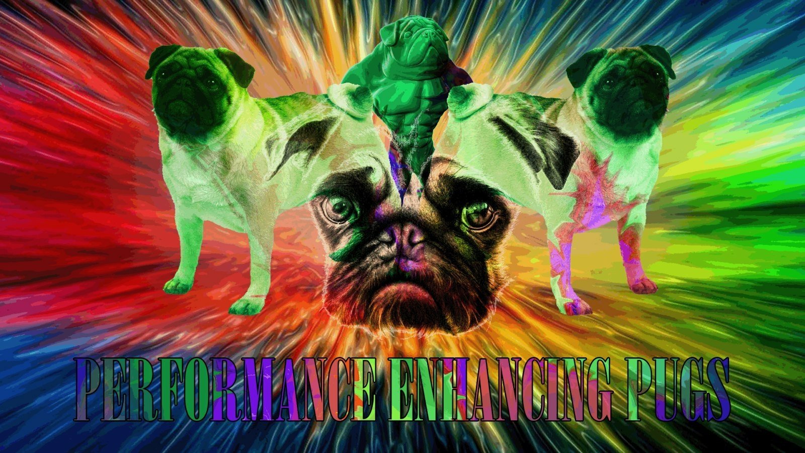 download-pug-psychedelic-funny-dog-image