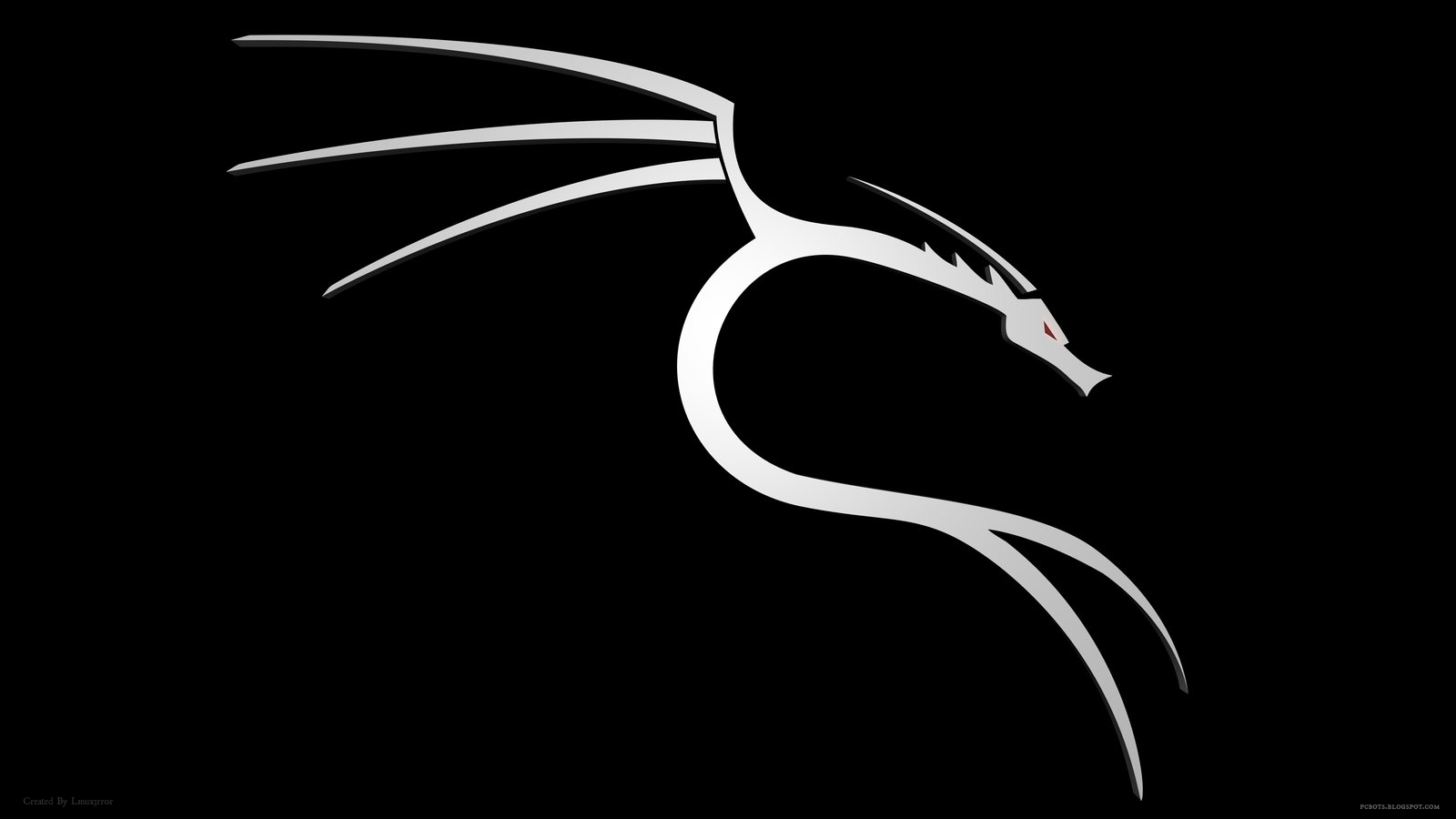 A sleek, stylized dragon logo in white and gray on a black background, representing technology and the Linux-based Kali Linux distribution.
