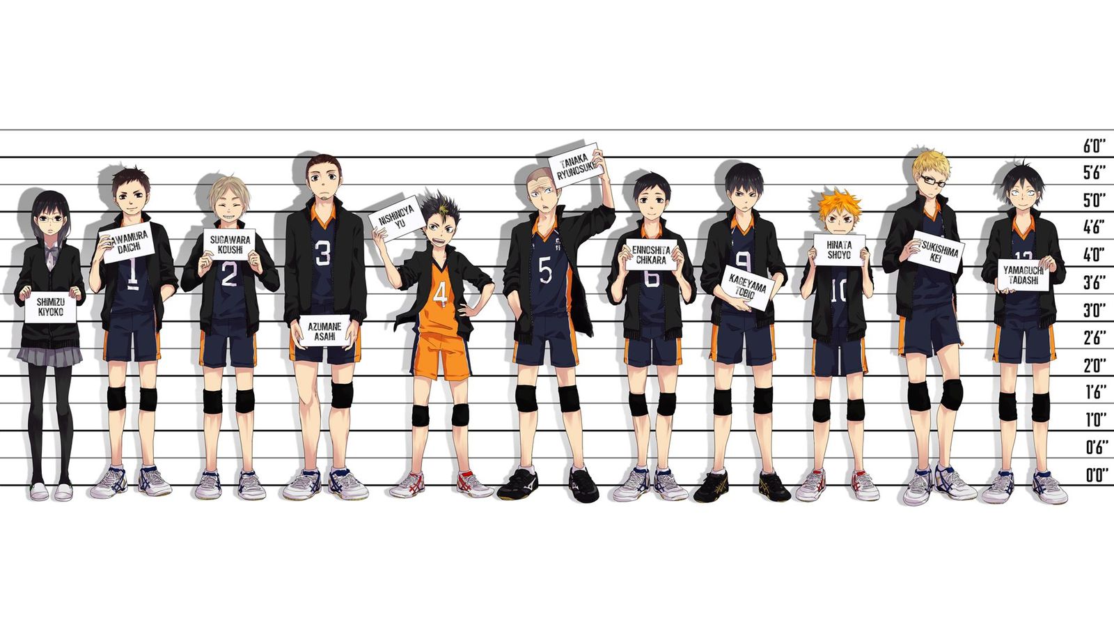 Karasuno Team member