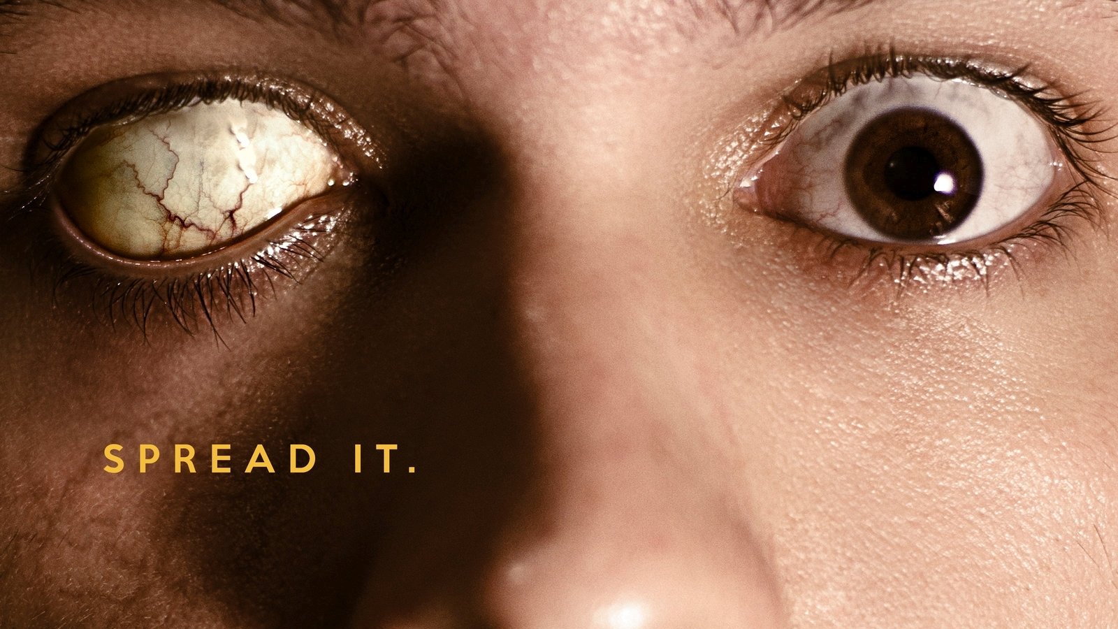 movie Cabin Fever (2016) Image