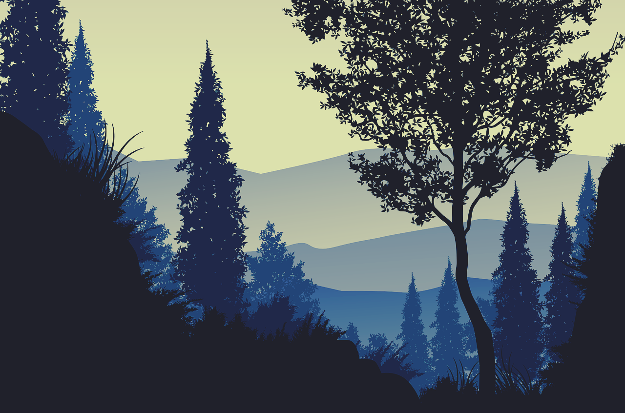  Blue Forest