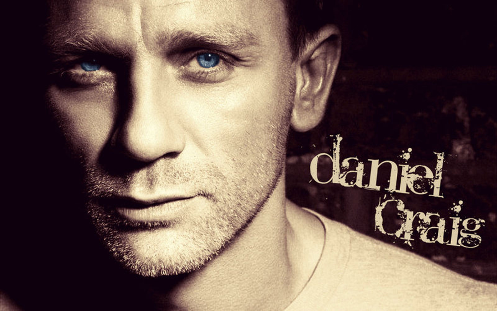 Daniel Craig Picture