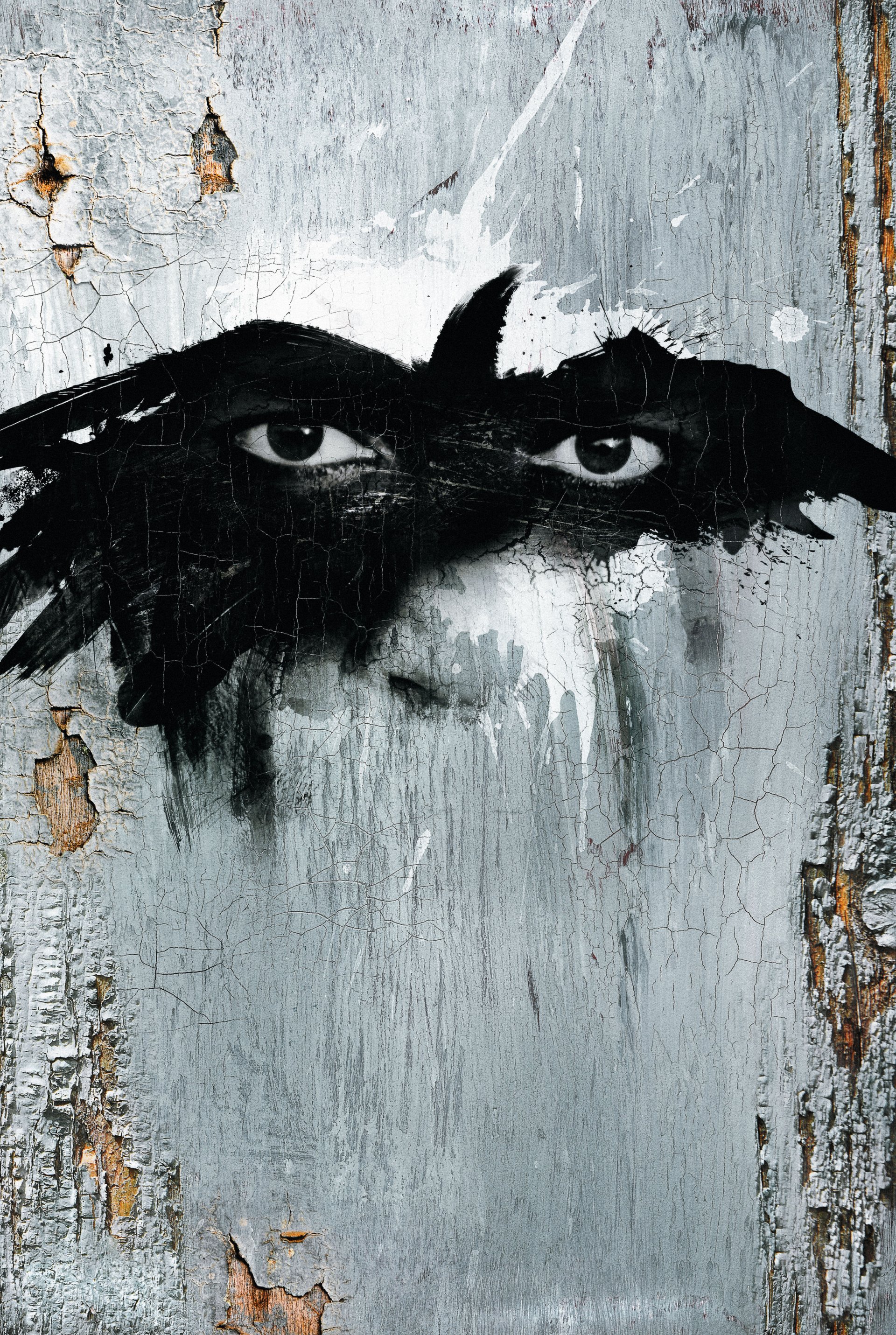 movie The Lone Ranger Image