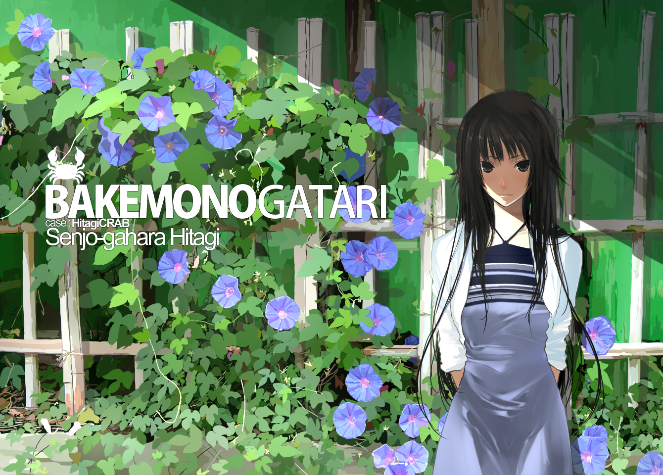 Hitagi Senjōgahara from Bakemonogatari