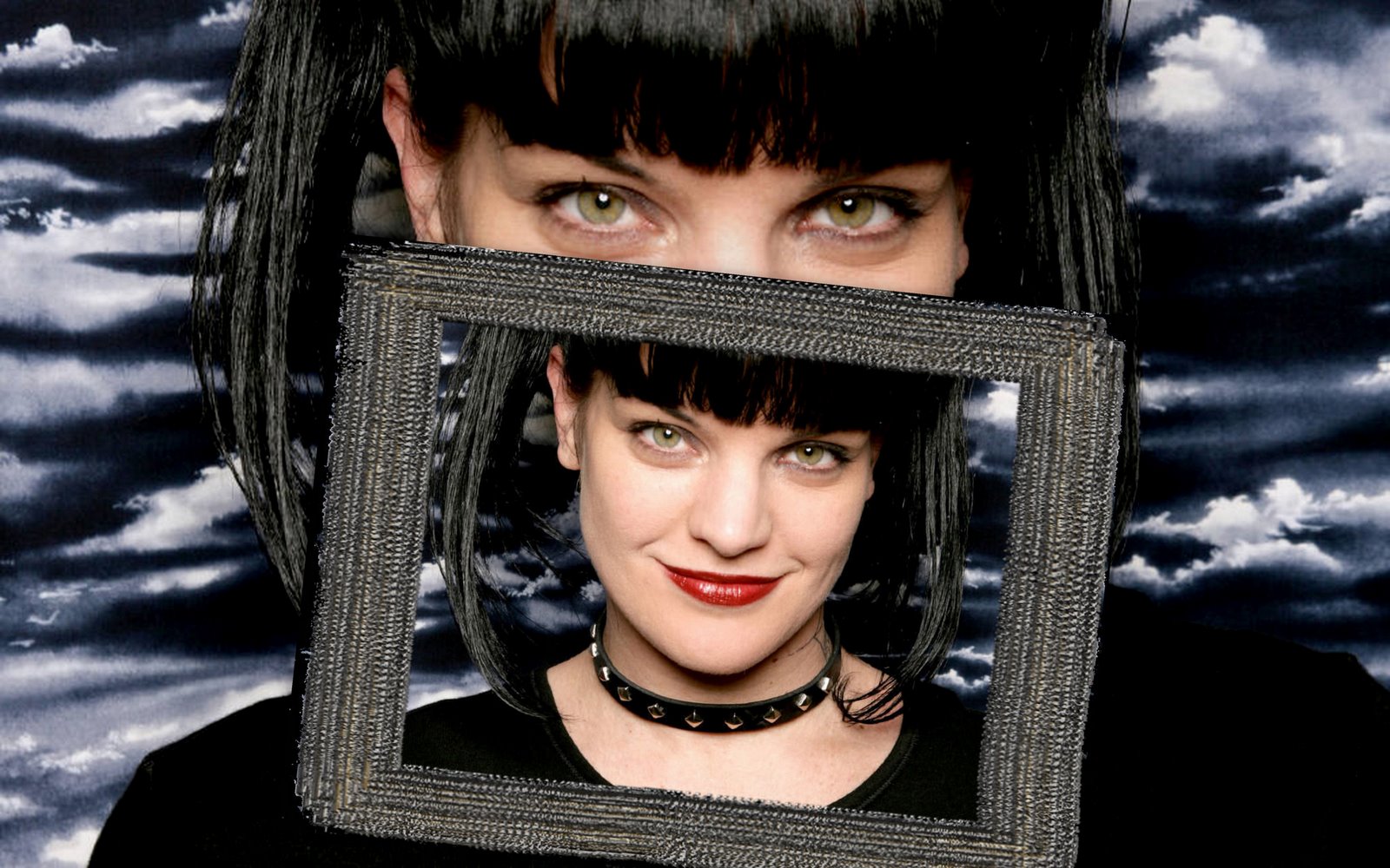 pauley perrette Picture - Image Abyss