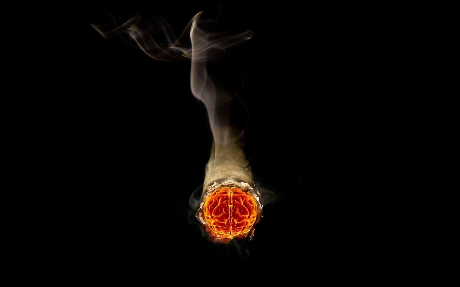 brain cigar smoke Image