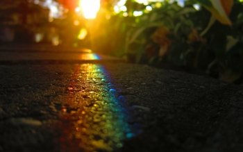 Preview Image 626218