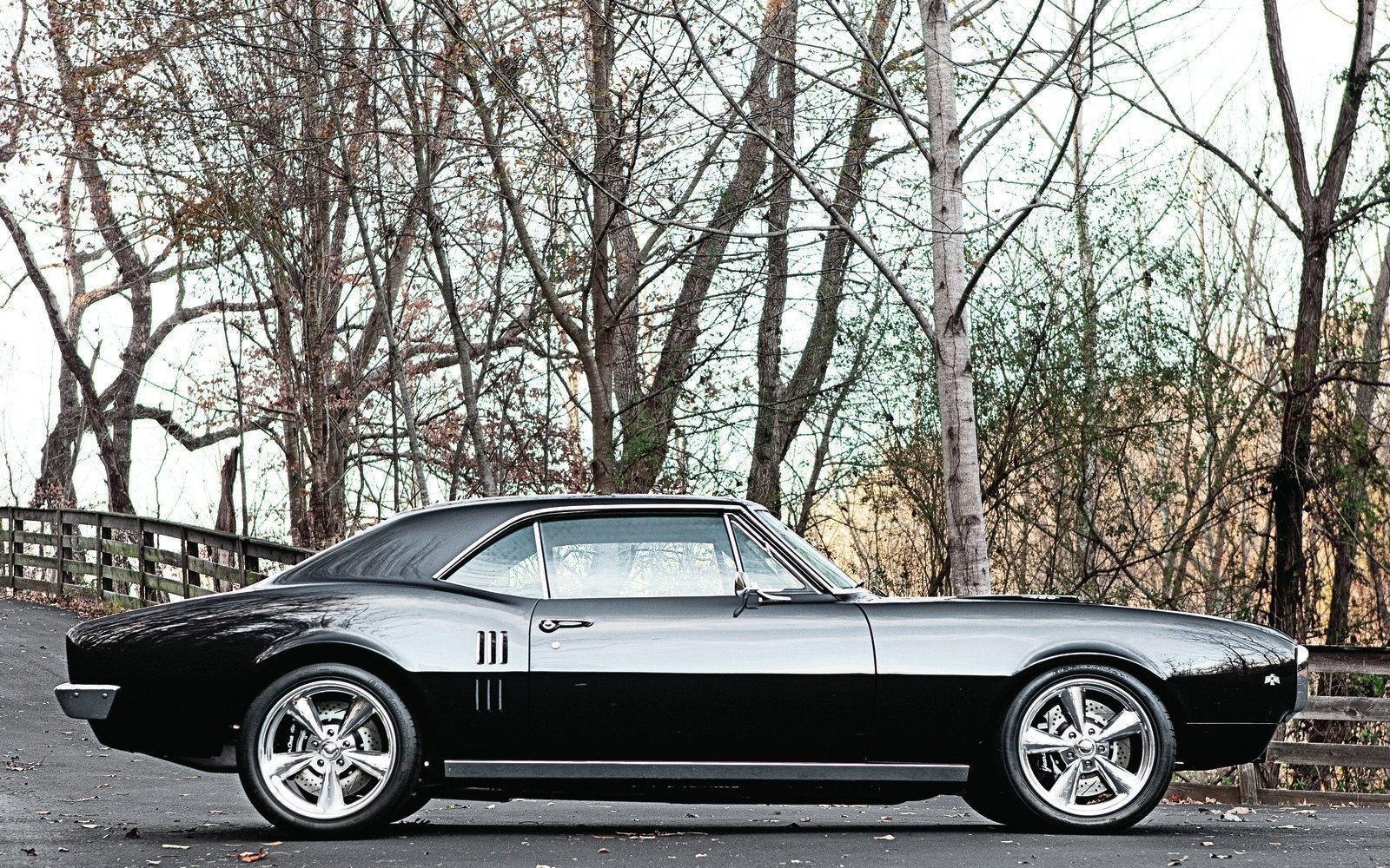 classic car muscle car hot rod vehicle Pontiac Image