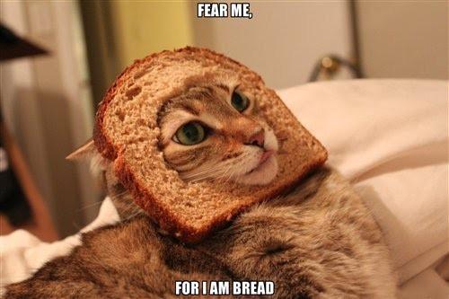 Fear Me For I Am Bread Image Abyss