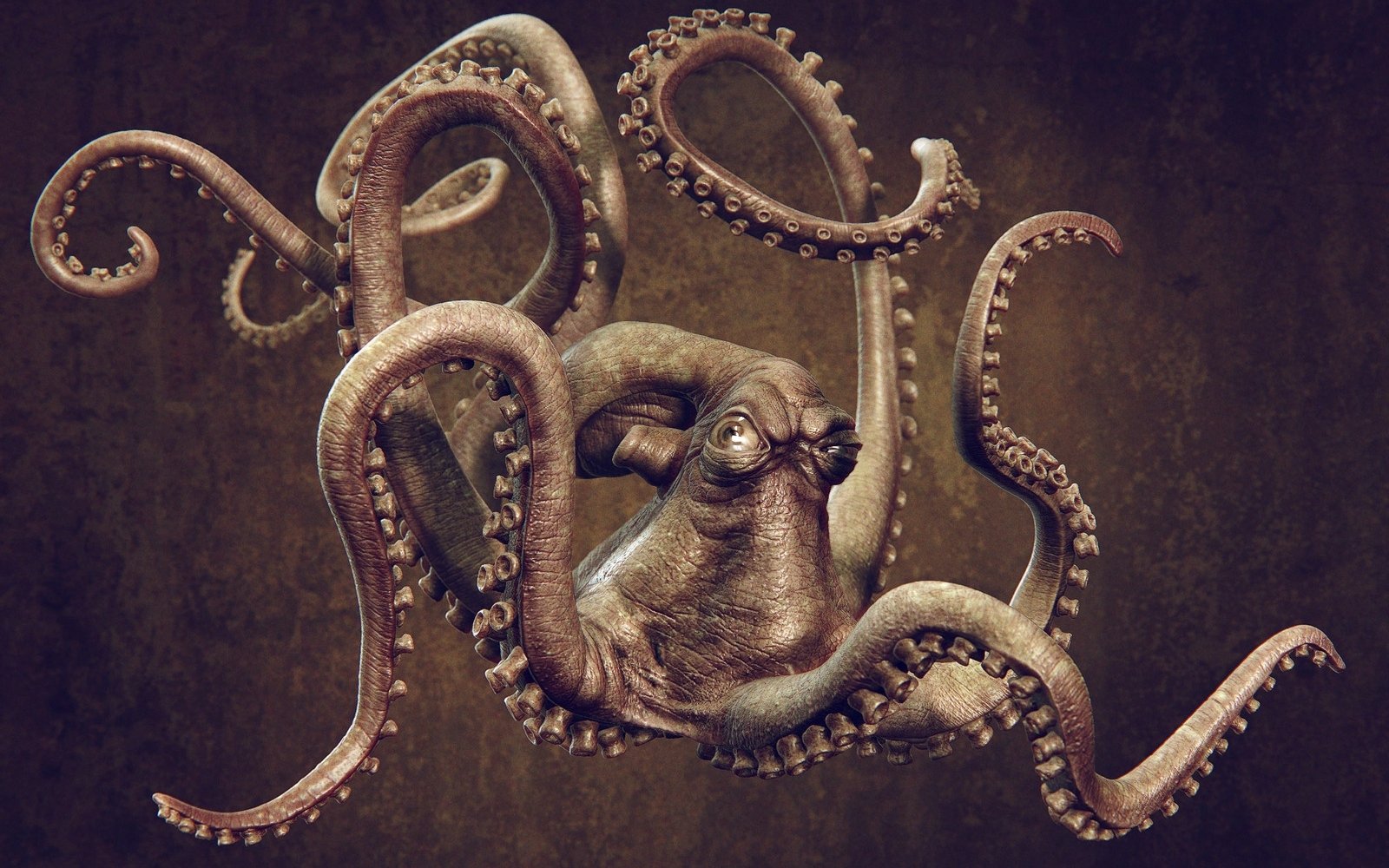 A detailed image of an octopus with its tentacles spread out against a dark, textured background.