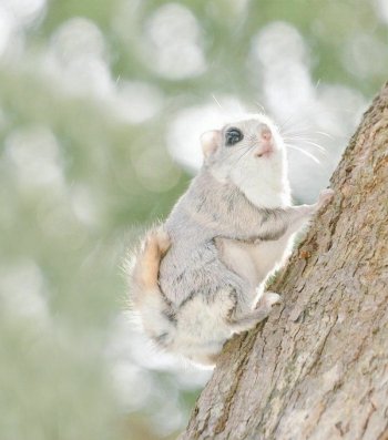 Preview Image 6311