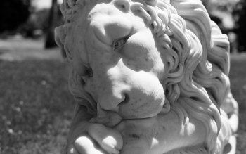Preview Image 632047