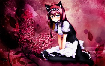 Preview Image 632288