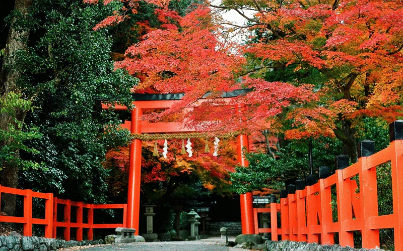 photography oriental Image