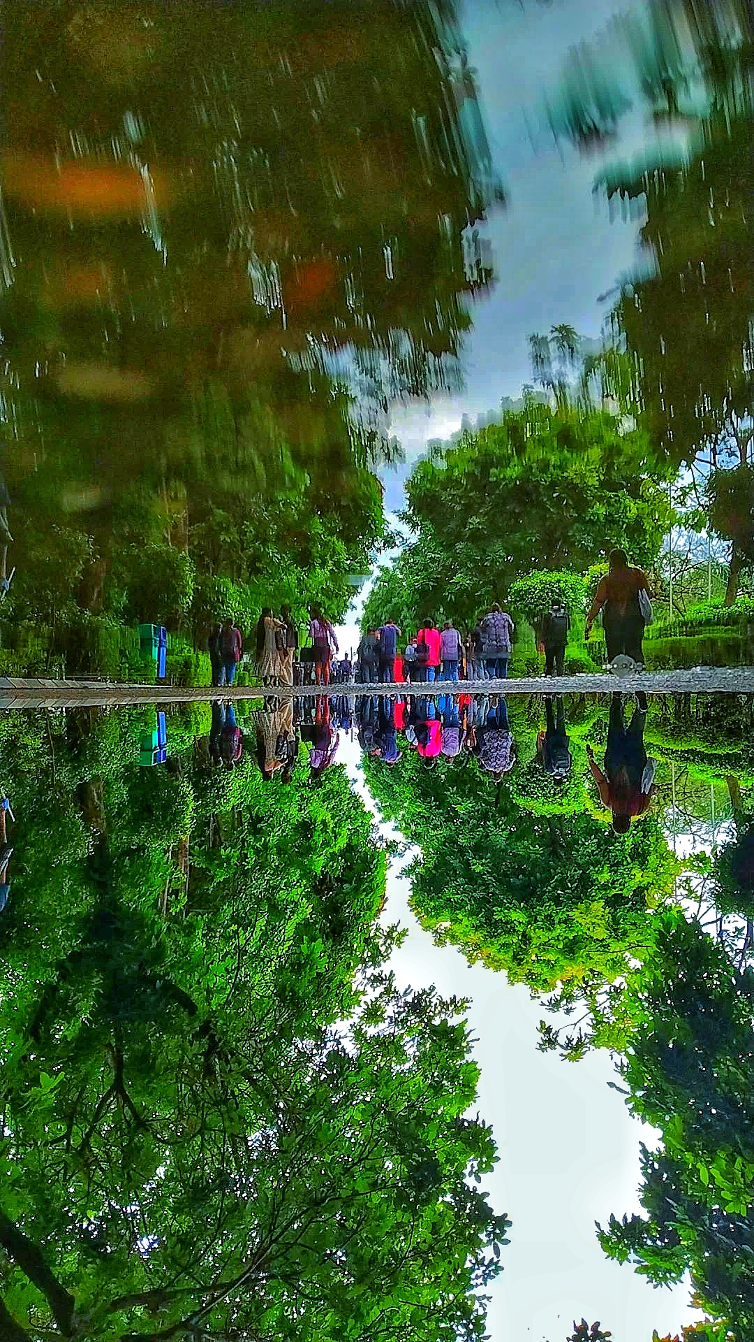 Upside Down Reality by Chilled_Ice.editz