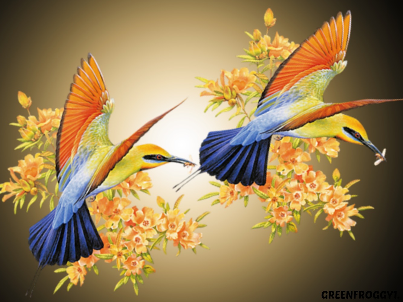 BEE EATERS by GREENFROGGY1