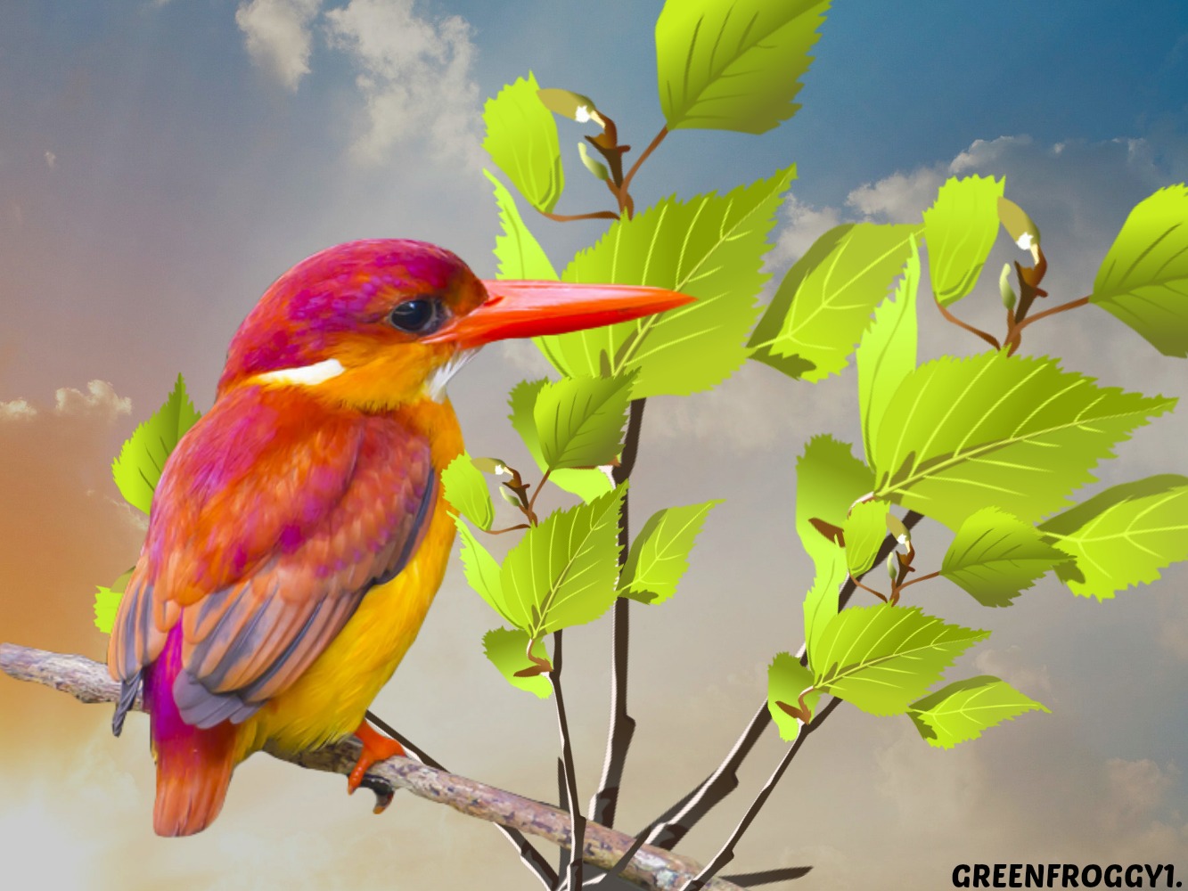 KINGFISHER by GREENFROGGY1