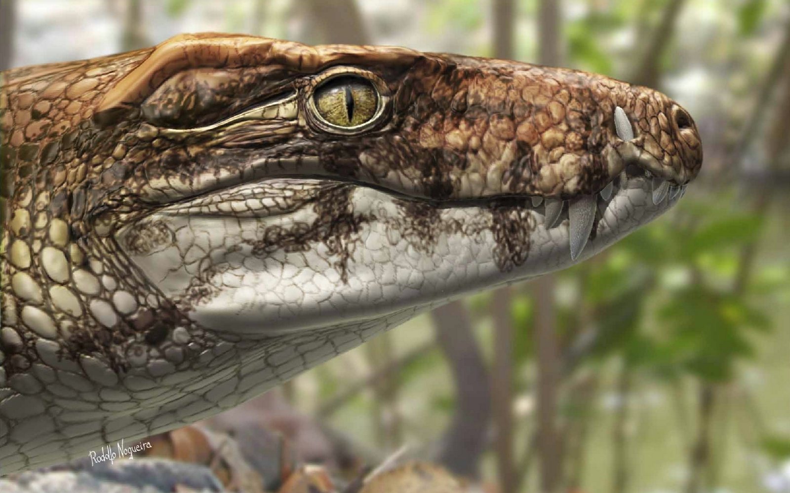 Download Animal Extinct Image