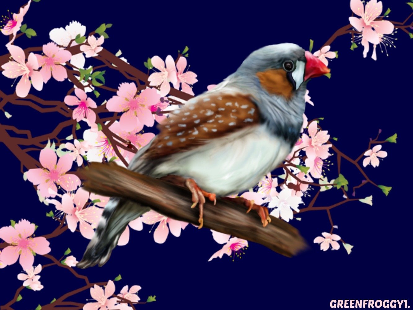 ZEBRA FINCH by GREENFROGGY1