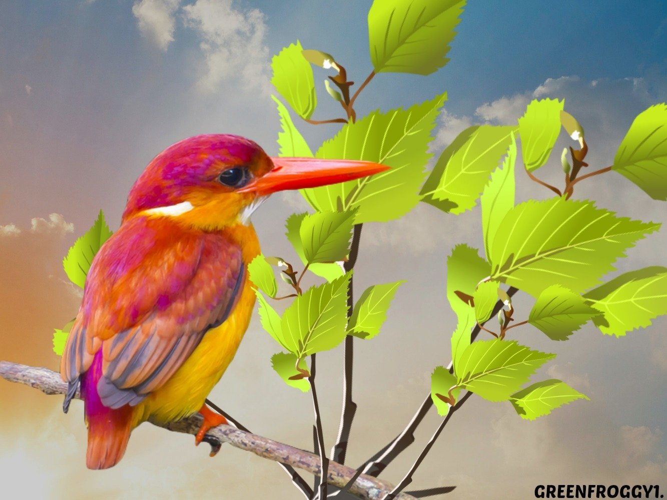 A vibrant kingfisher with bright purple and yellow feathers perched on a leafy branch against a soft sky background.