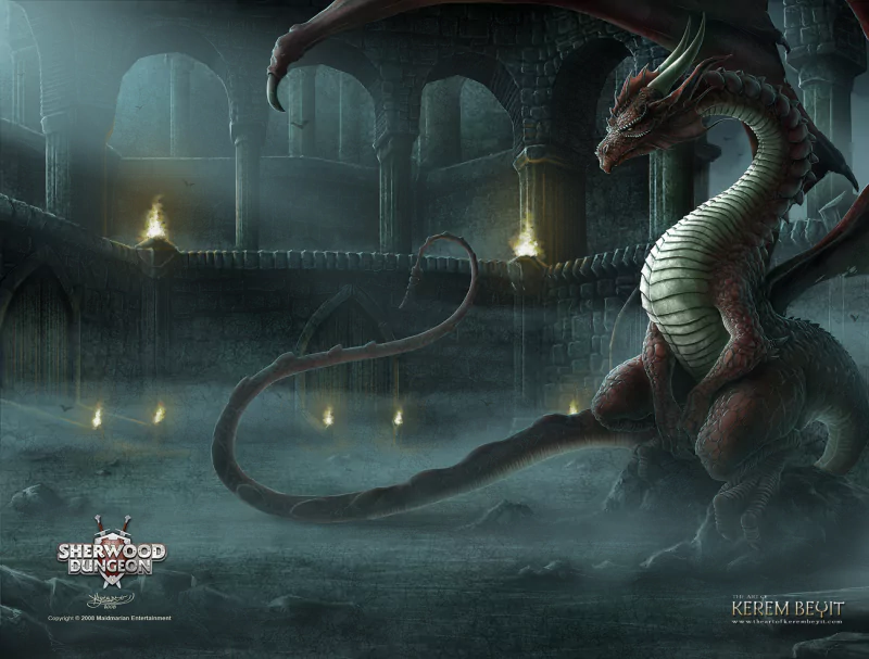 video game sherwood dungeon Image