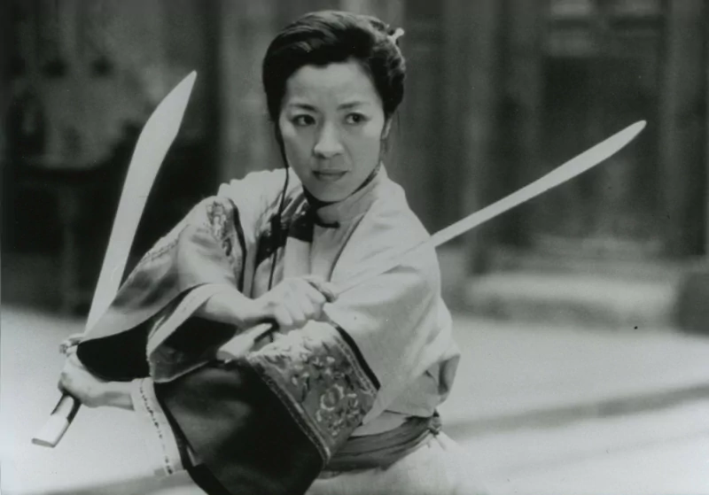 crouching tiger hidden dragon movie Image