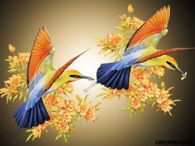 Two colorful bee-eater birds in mid-flight near blooming orange flowers against a soft gradient background.