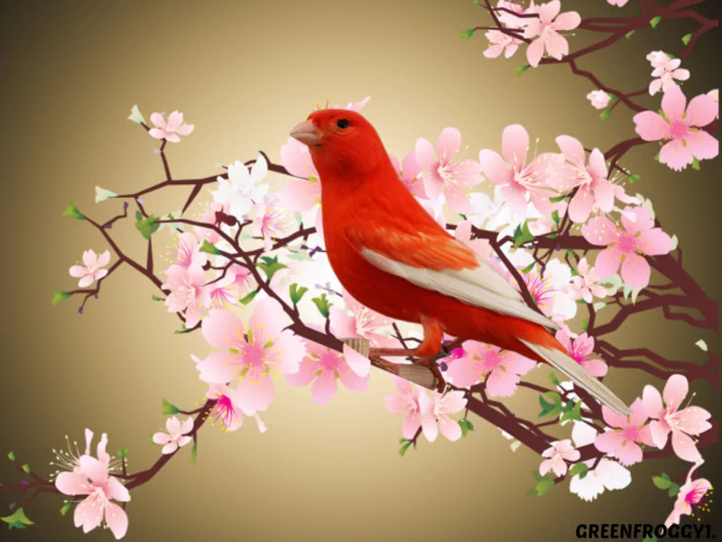 A vibrant red canary perched on a branch adorned with delicate pink blossoms against a soft, muted background.