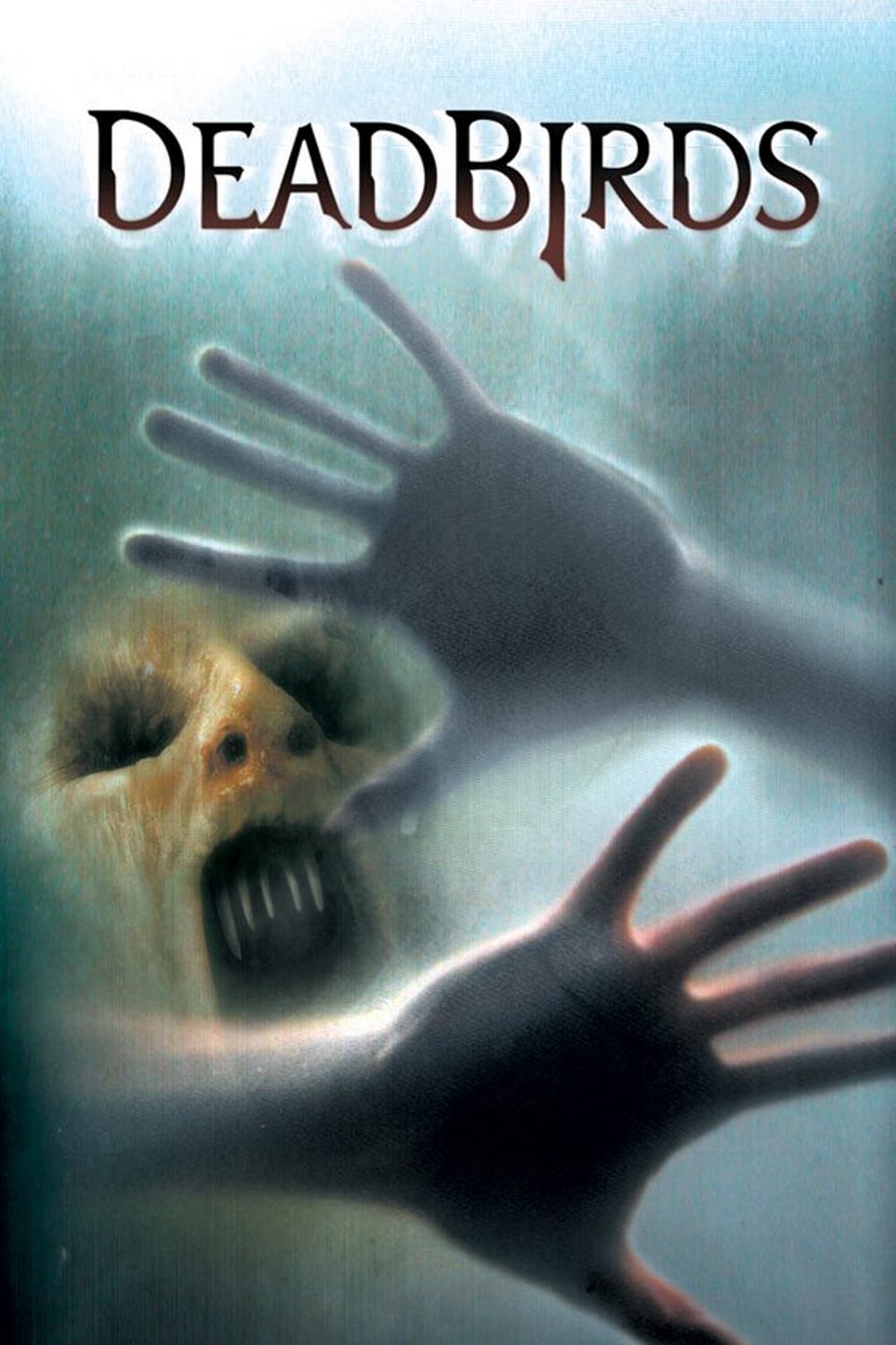 dead birds Picture