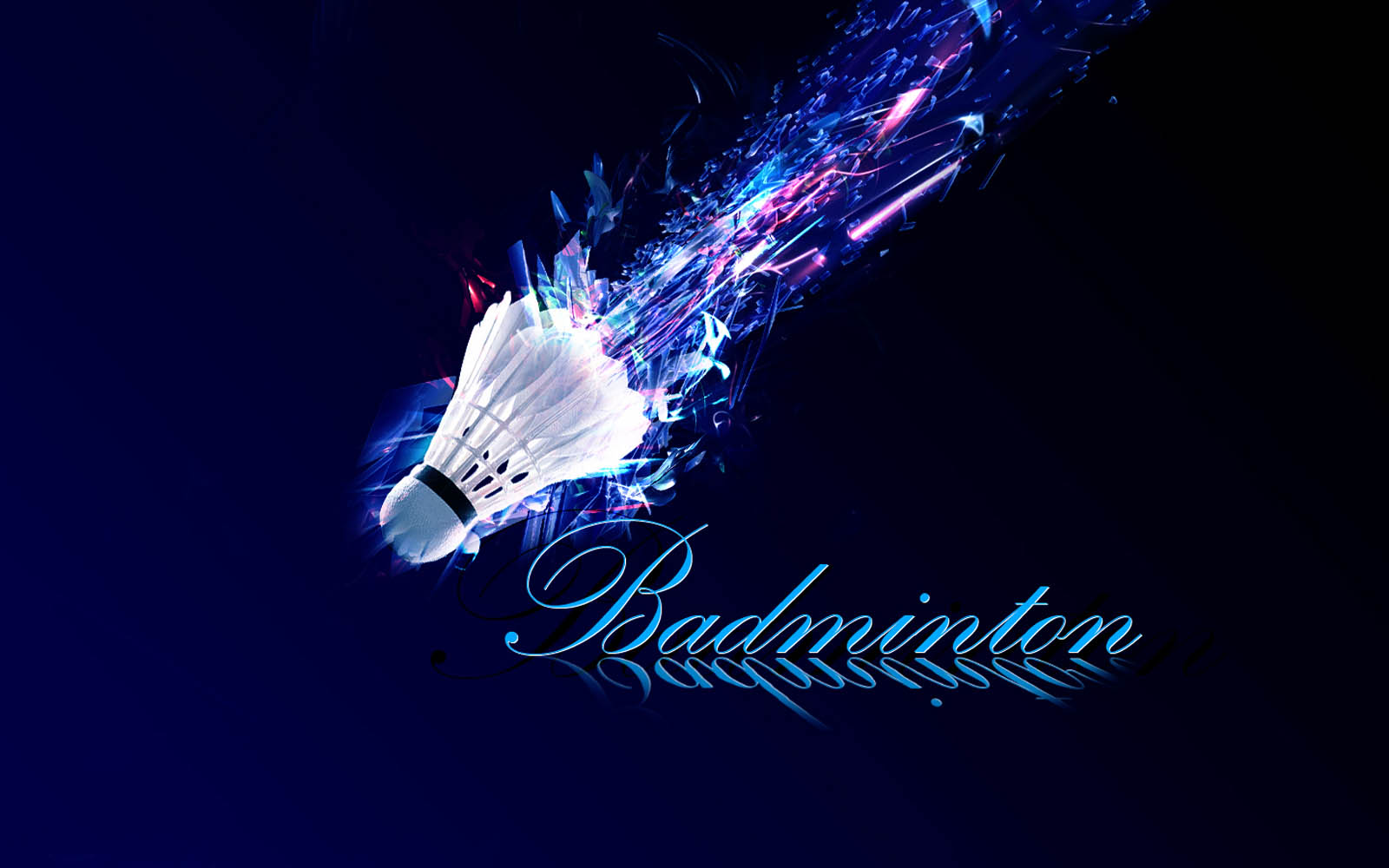 badminton Picture
