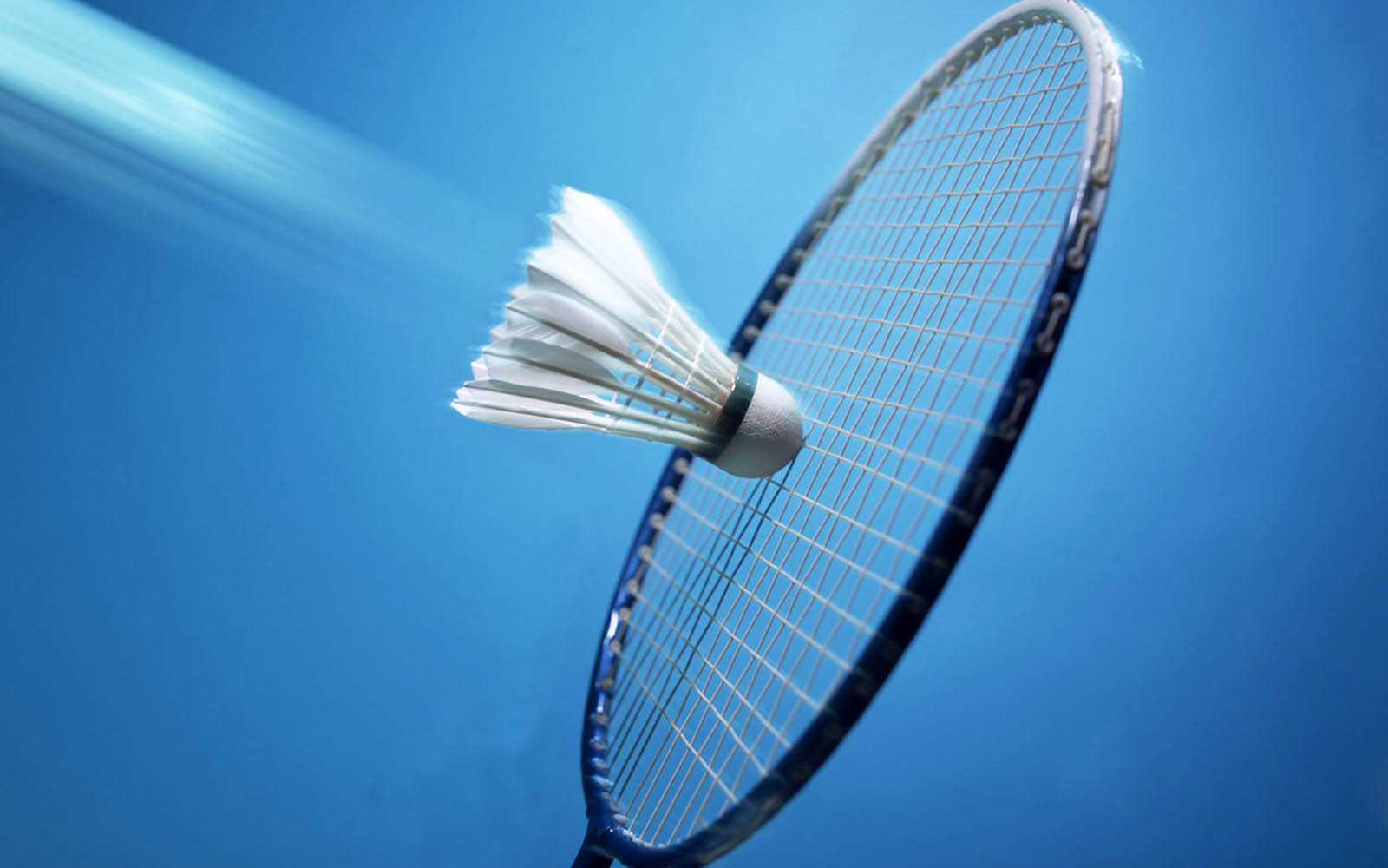 badminton Picture