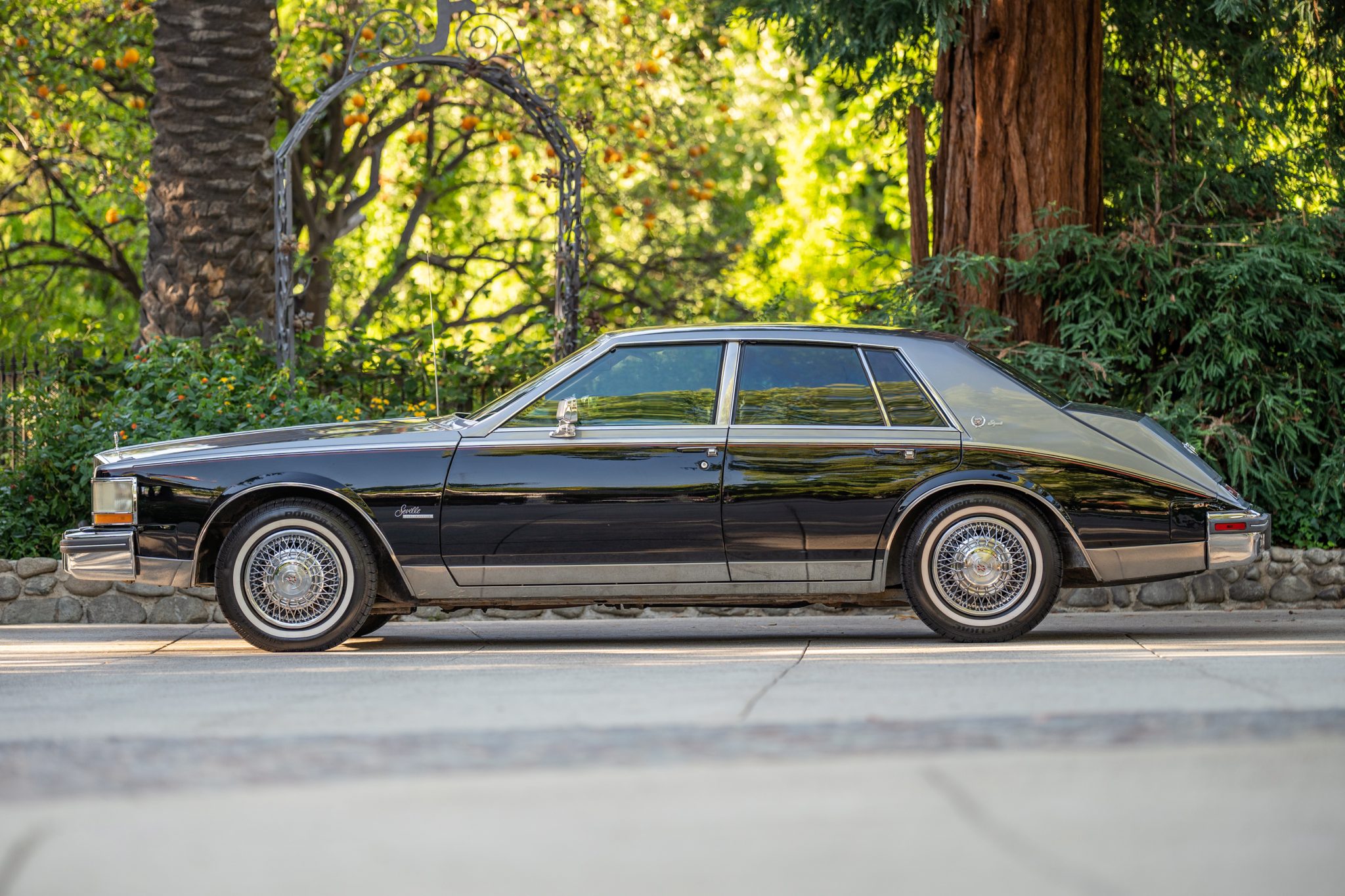 1980 Cadillac Seville Elegante - Image Abyss