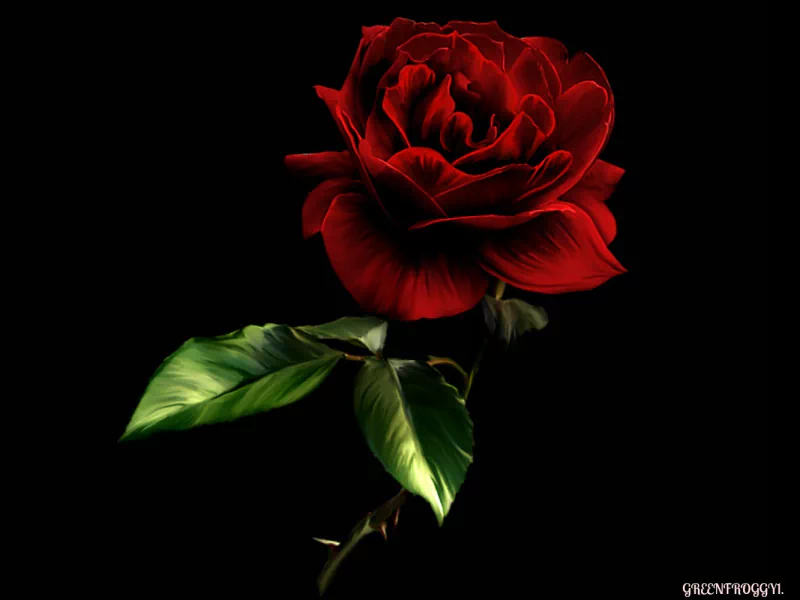 A detailed artistic rendering of a red rose with vibrant petals and green leaves set against a black background.