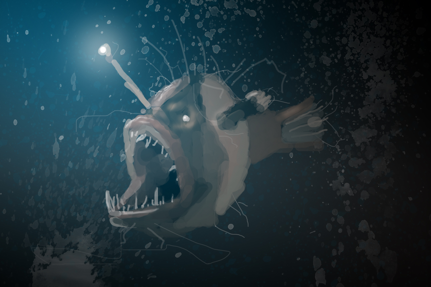 anglerfish Picture