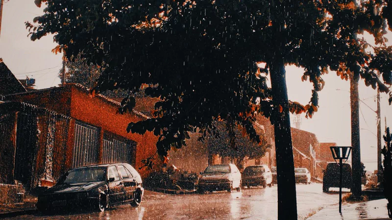  Cars parked cars on a wet street