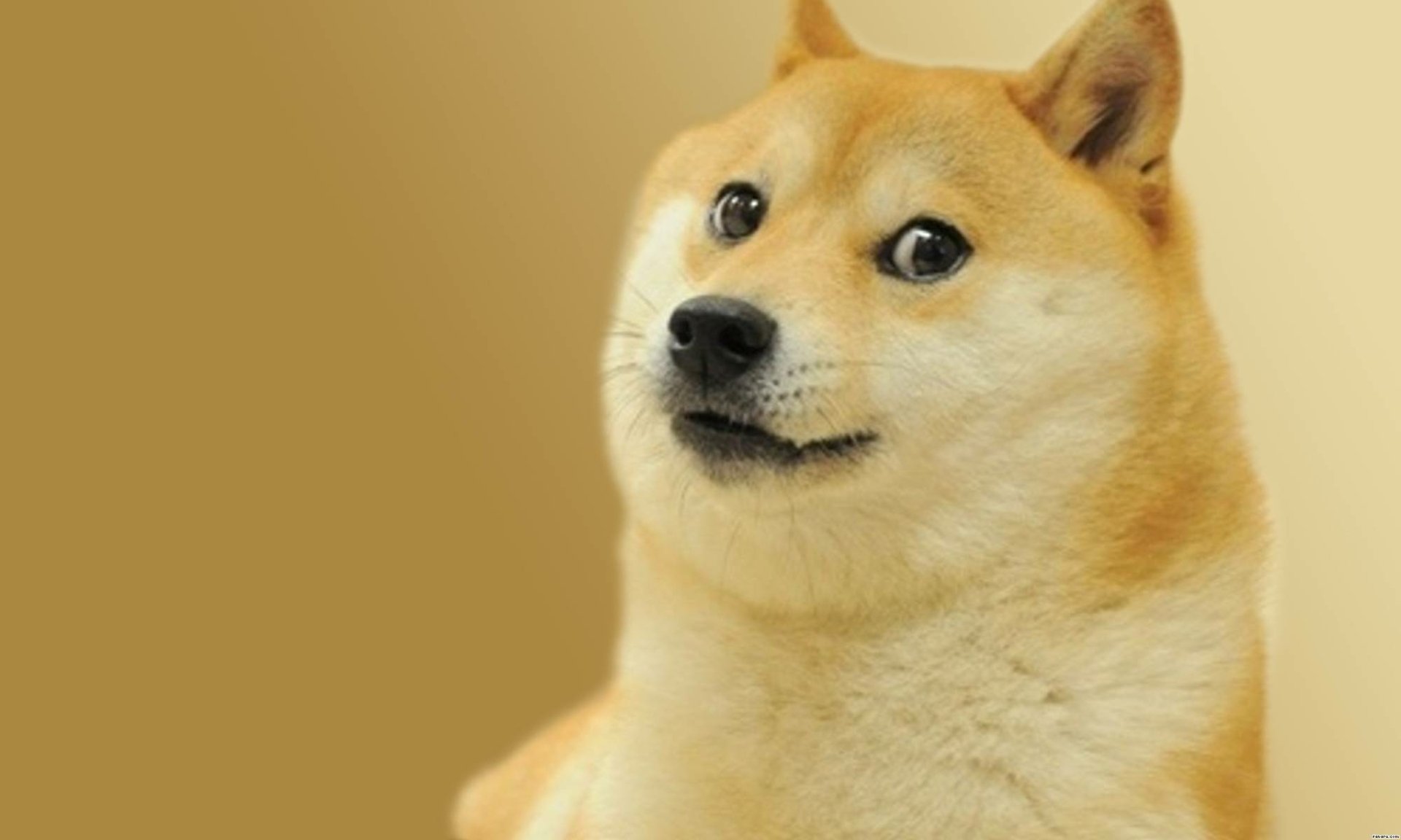 Doge image id 6419 image abyss