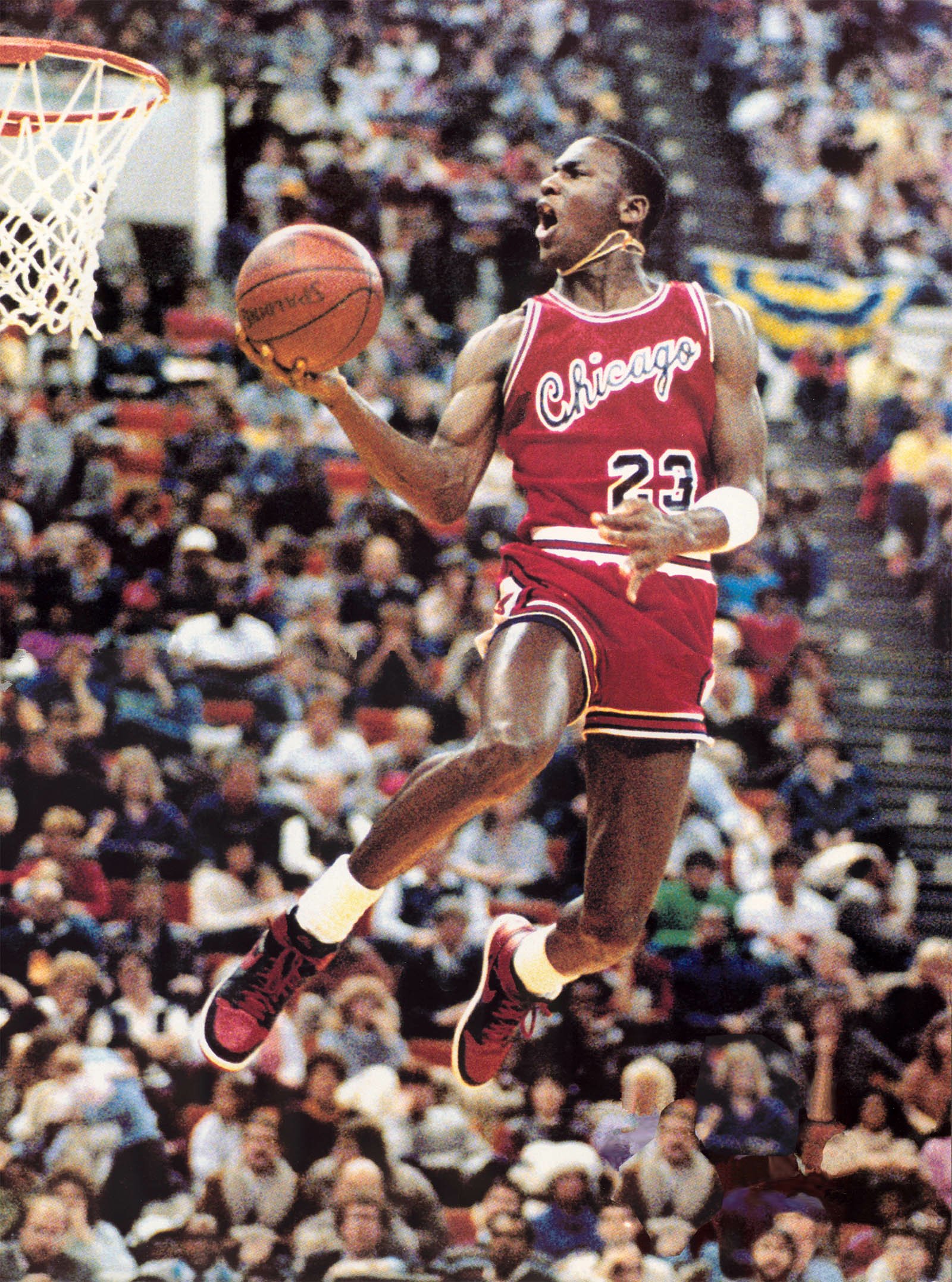 Michael Jordan Sports basketball Slam Dunk Image