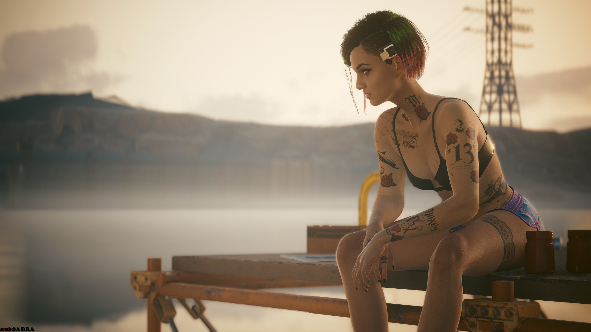 Judy Alvarez Lake Photo - Cyberpunk 2077 by nubSADRA