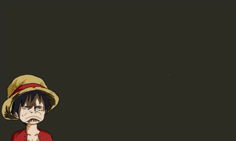  luffy