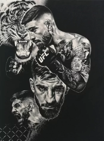 UFC , Sports, HQ UFC . 2019, UFC Logo HD phone wallpaper | Pxfuel