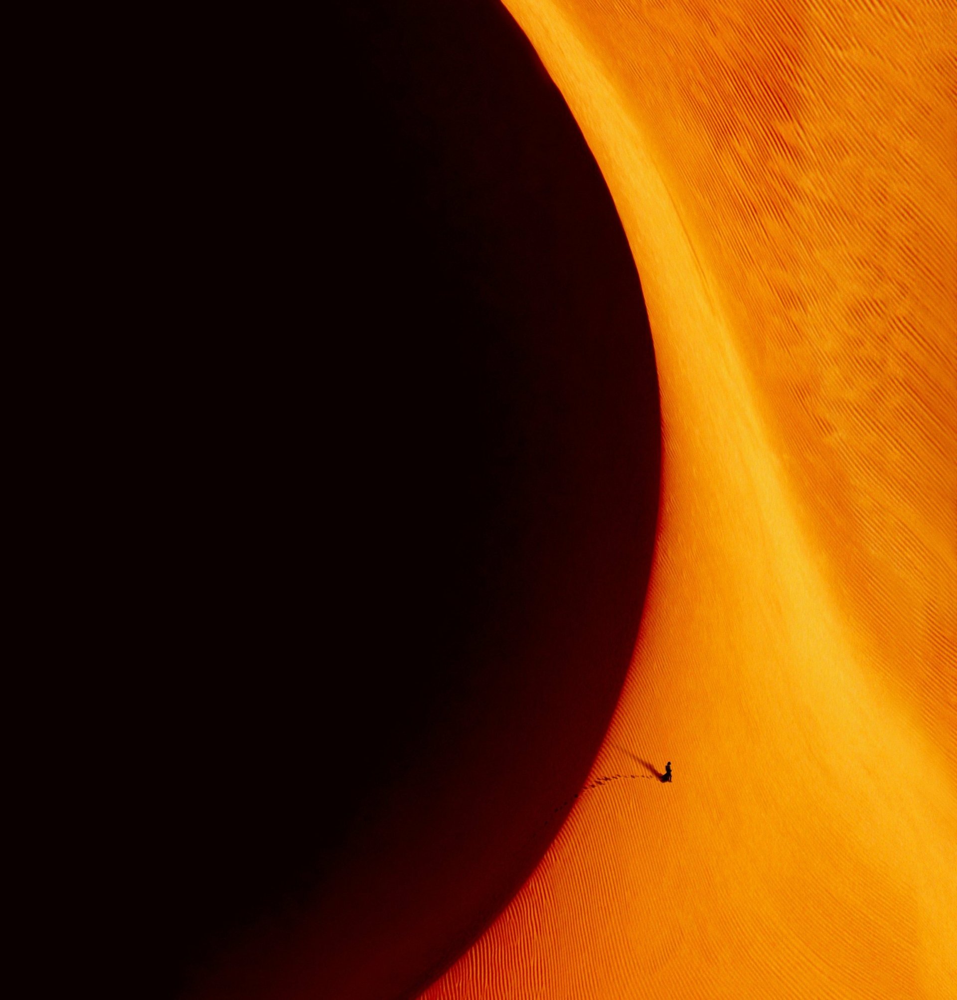 Download Dune: Part Two Image